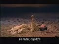 dido en aeneas traditioneel dido\