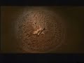 Search Video