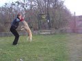 Vigo and the skipping rope Vigo and the skipping rope
