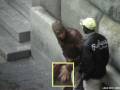 videos de FIRENZE -  QUALCOSA DI LOSCO