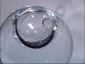 Symphony of Spheres in Microgravity
