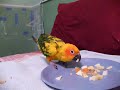 Logan eating fresh fruits and vegetables
