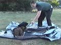 Schutzhund Puppy Power Schutzhund Puppy Power