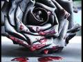 Anna Vissi (new) - Kontra / Breathless (with lyrics)