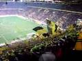 YOU`LL NEVER WALK ALONE - BVB 09