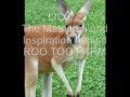 ROO TOO FARM: A Tribute to Lila