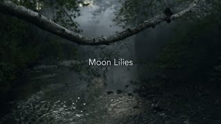 Moon Lilies - Give me a cell