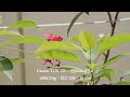 Canon EOS 7D - IS test