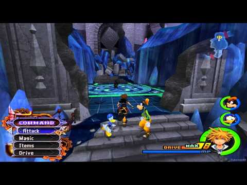 how to kill black fungus kingdom hearts