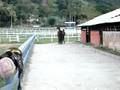 videos de Caiana do Santo Graal