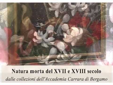 Guarda il video