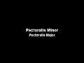 Pectoralis Trigger Points Pectoralis Trigger Points