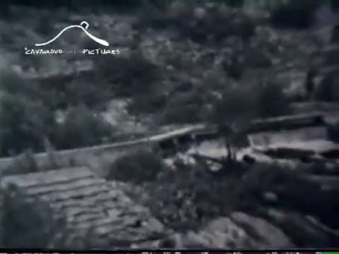 Video galerija