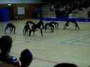 Youth gymnastic, Ängelholms Gymnasterna Youth gymnastic, Ängelholms Gymnasterna