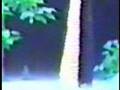 FORCEFIELD: video III