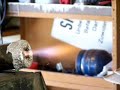 produces more flame than thrust hehe. I use a vacuum cleaner a tin can and newspaper soaked in petrol.