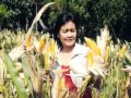 Only farmers can grow the food all need to survive