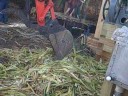 How sorghum syrup is made
