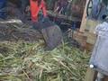 How sorghum syrup is made