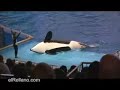 La Orca (el Rellano)