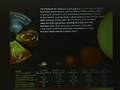 Search-for-Planet-X-