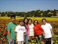 Photo Clip Lagu Batak