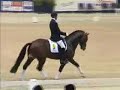 KWPN HK 2006