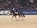 KWPN HK 2006
