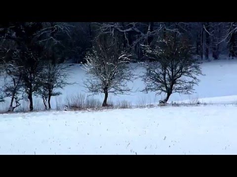 Snow Kayaking Llandovery Wales
