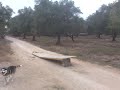 husqvarna wre 125 scarov salto