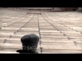 Louis Colaiannia Desert Winds Video and Lyrics