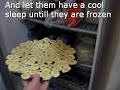 Banana Ice Cream