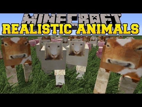 how to get more animals in minecraft