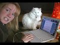 How To Join A Lawsuit How To Join A Lawsuit