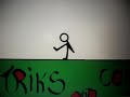 TRICKS & COMBOS 2010 ANIMATION…….