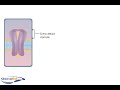 animation describing the role of ion channel coupled receptors in neurotransmission.