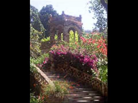 Video of B&B Rosangela