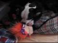 Molly kills a rugrat