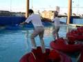 Bumper Boat Jumpers