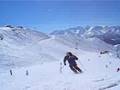 Verbier ferran1