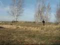xXxKruKxXx Trailer 2008/2009