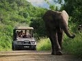In Love with Namibia showcases the major namibia africa destination travel, holidays and accommodation infrastructure as well as the tours and safaris which african and global visitors can enjoy before, during and after the FIFA World Cup 2010 Namibia Summary ... For more info visit inlovewithnamibia.com