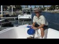 Bird Spider and BirdsOff Repeller Sand Bag Base.mov