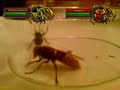 Princess Huhuran VS Maexxna