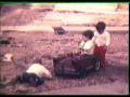 videos de yaniv.mpg
