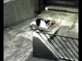 Se fudendo no Sk8