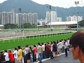 Sha Tin Racecourse ???? horse racing