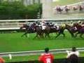 Sha Tin Racecourse 沙田馬場horse racing