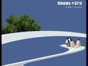 Shady Bard - Penguins Shady Bard - Penguins
