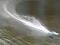 RC mini speed Boat